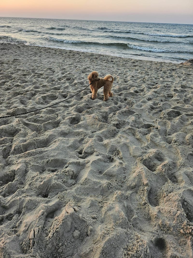 Dwa kółeczka z Daisy - Częstochowa
