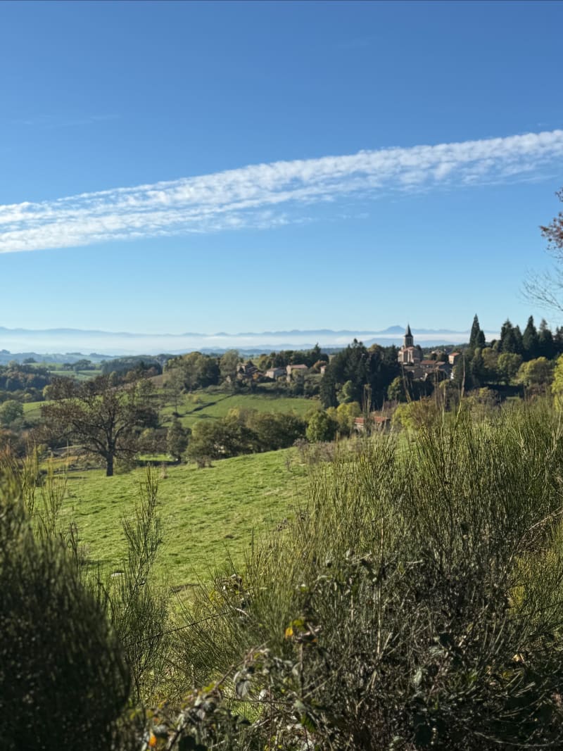 Balade en forêt autour d’Aix-la-Fayette - Aix-la-Fayette