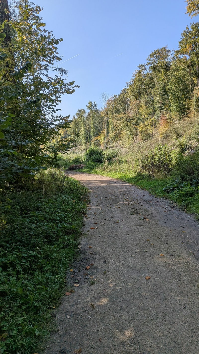 Rando entre Tréon, Crécy-Couvé et Saulnières - Tréon