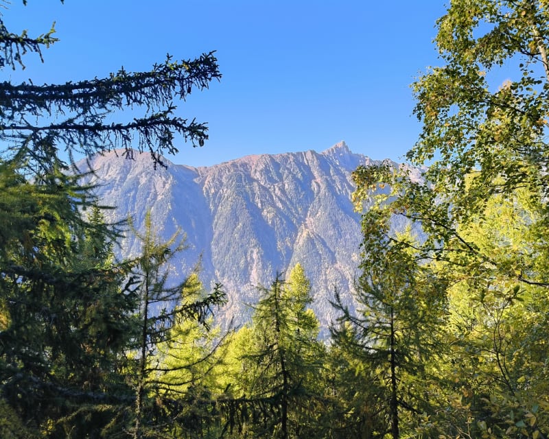 Randonnée du glacier des Bossons - Chamonix-Mont-Blanc