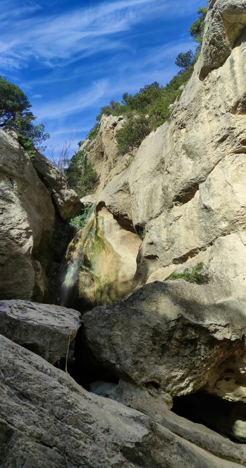 Les dentelles de Montmirail - Lafare