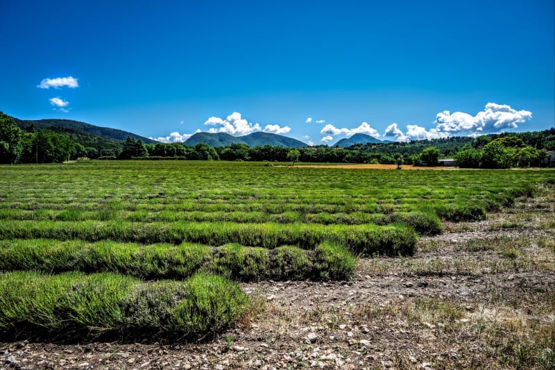 Petite boucle sympa prés de Taulignan - Taulignan