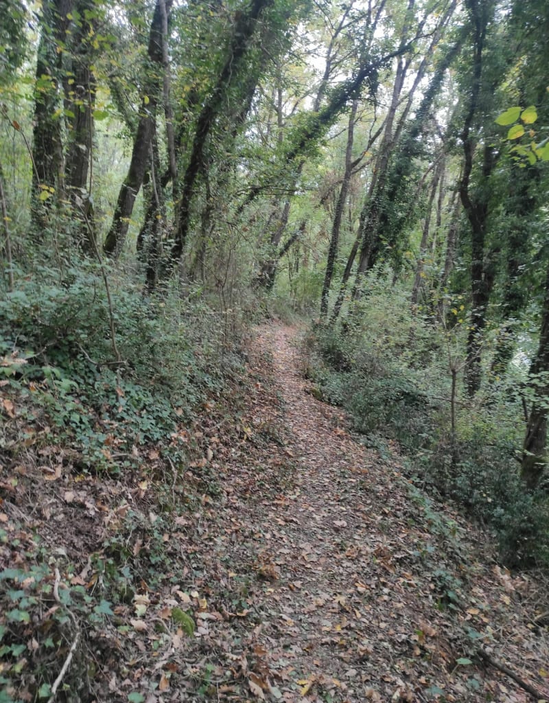 Boucle autour de Peuron - Chauvigny