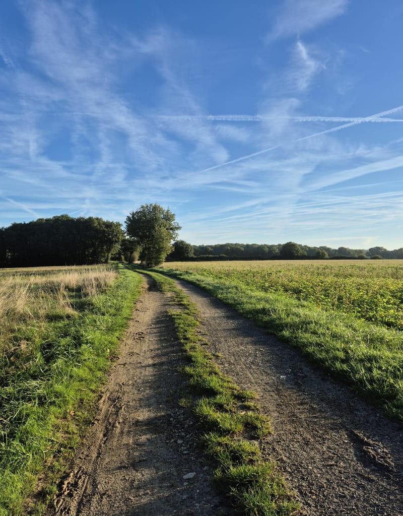 Balade automnale à Mignaloux-Beauvoir - Mignaloux-Beauvoir