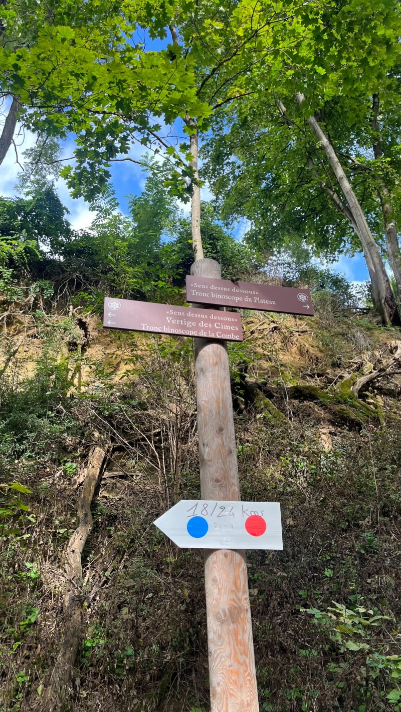 Découverte du vallon des Torrières et ruisseau des Echets - Genay