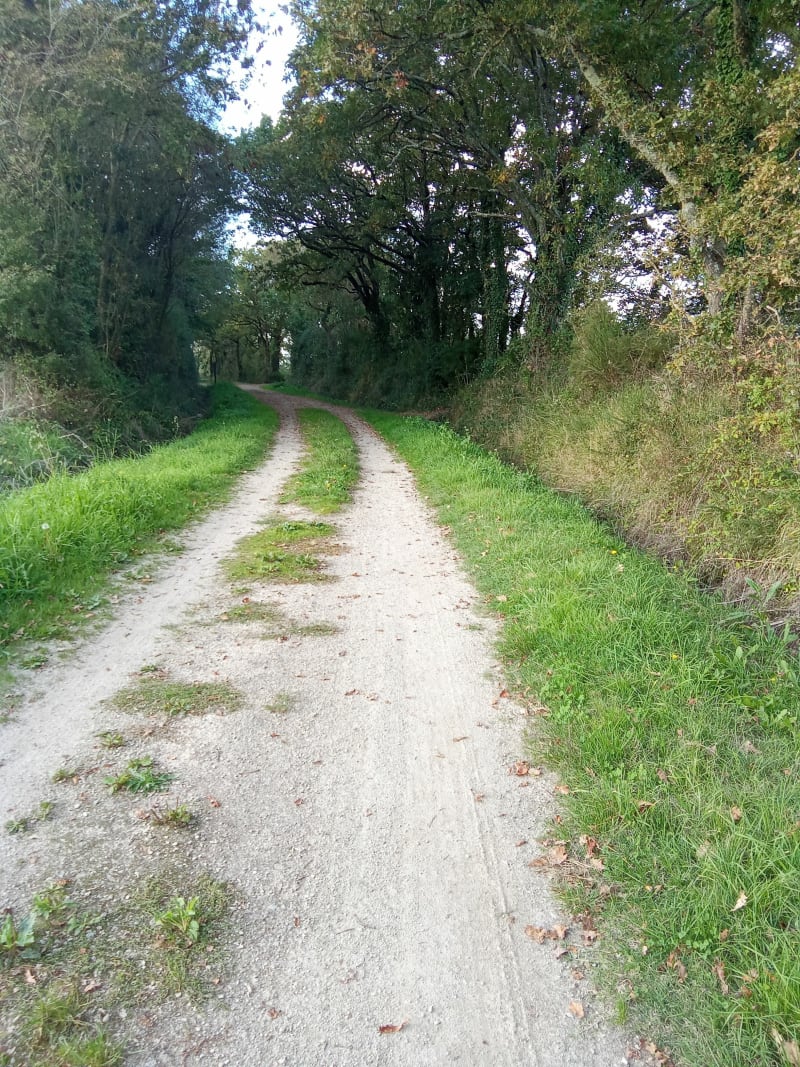 Petite balade dans Sallertaine - Sallertaine