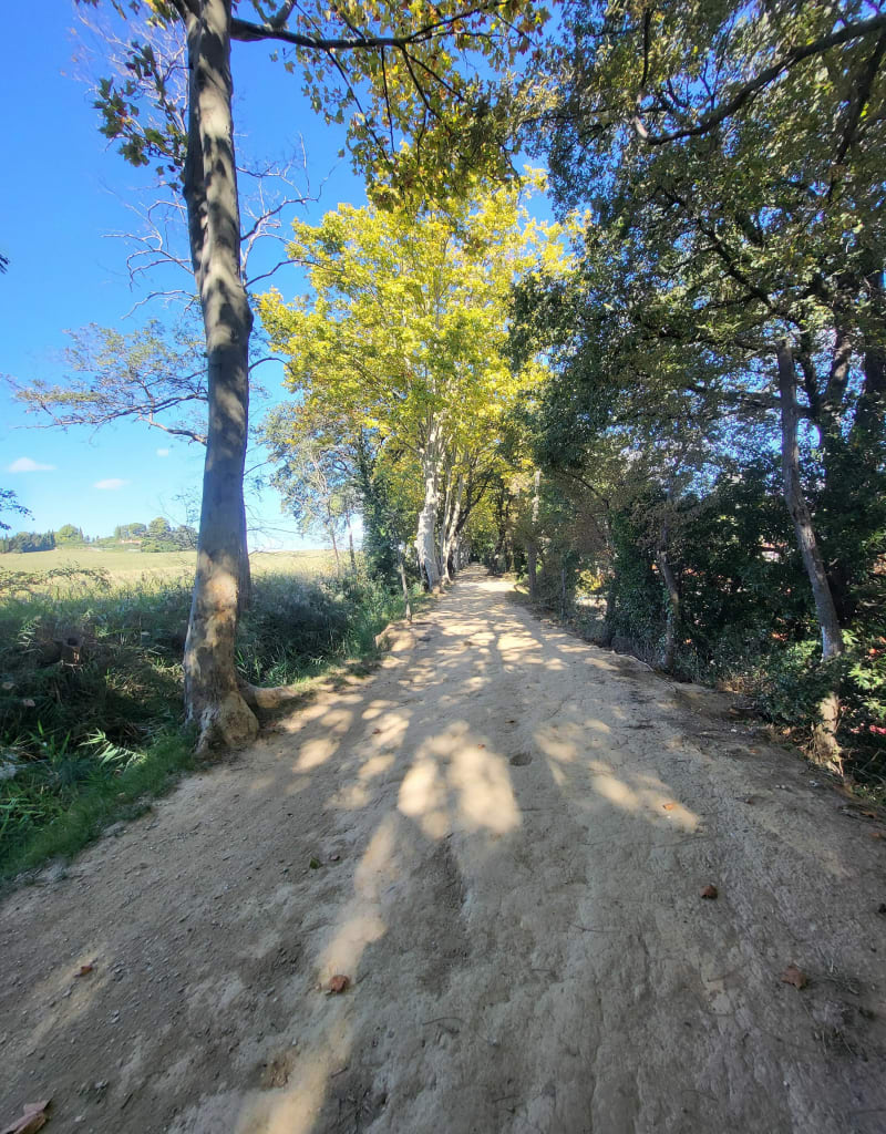 Balade à vélo à Pollestres et Toulouges - Pollestres