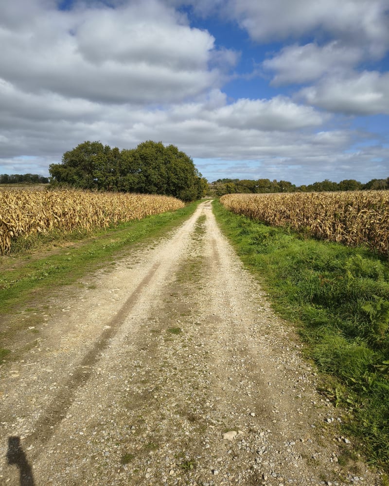 Kernour/Merlevenez/Kervignac - Kervignac