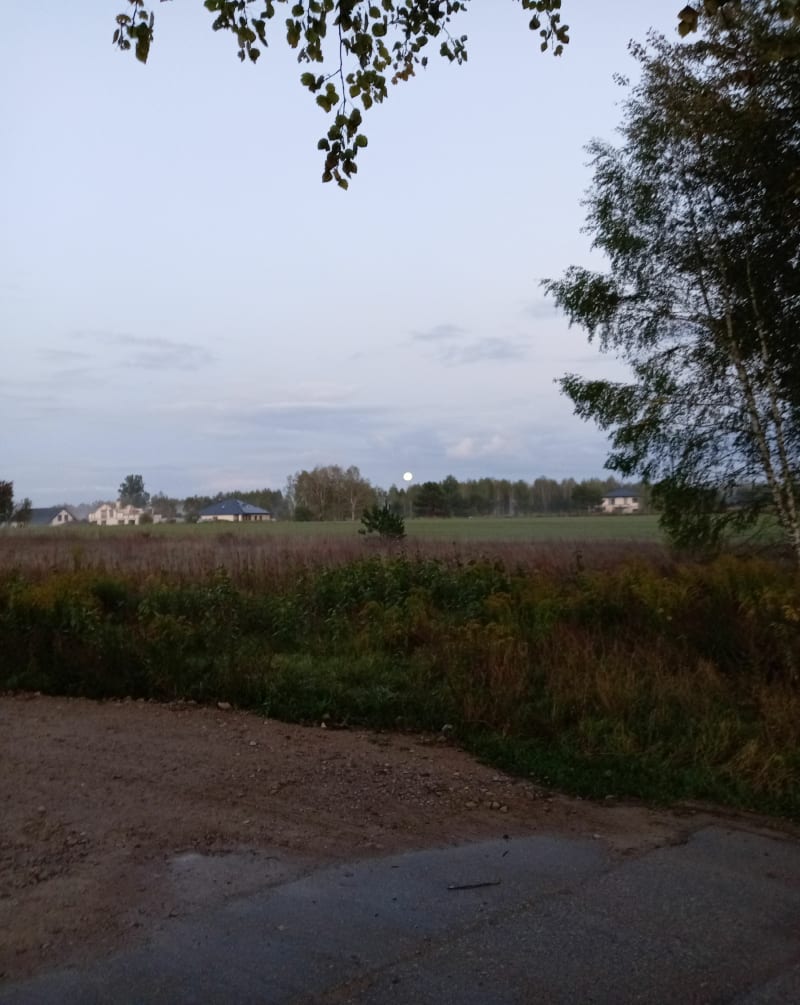 Stare Dojlidy - Białystok