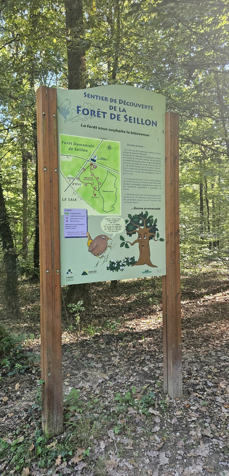 Forêt de Seillon - Péronnas