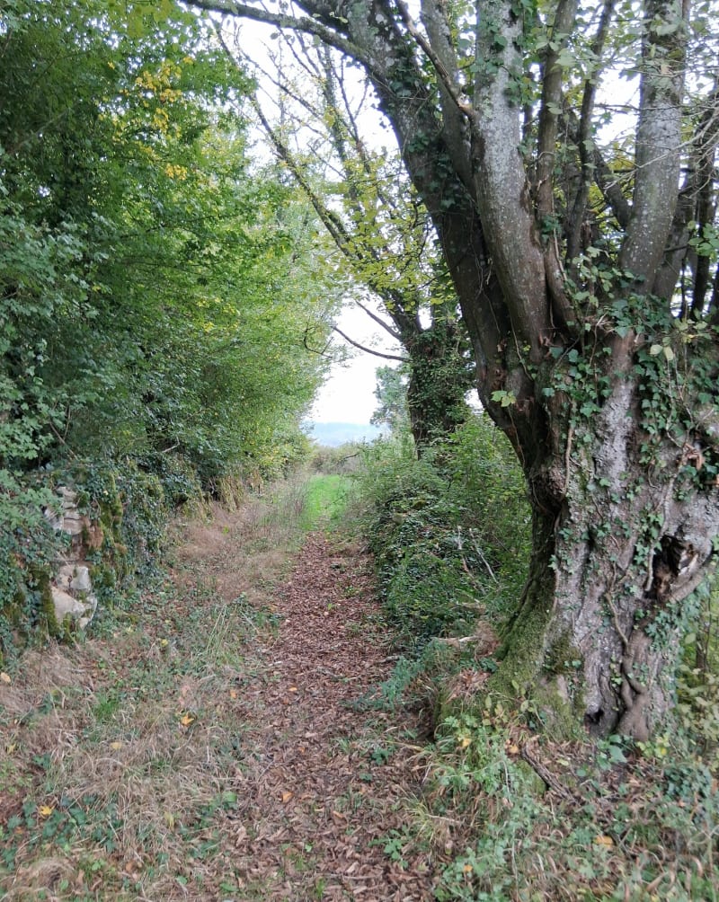 Balade autour de Saint-André-le-Désert - Saint-André-le-Désert