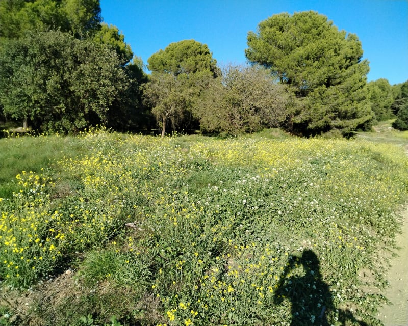 Castillon - Saint-Blaise - Port-de-Bouc