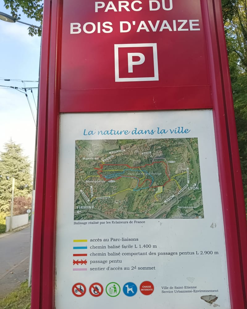 Bois d'Avaize - Saint-Étienne