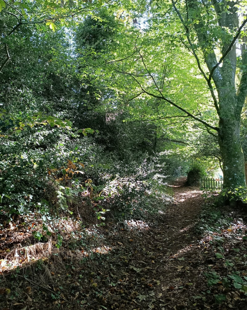 Boucle de Rochefort en terre par Malensac - Rochefort-en-Terre
