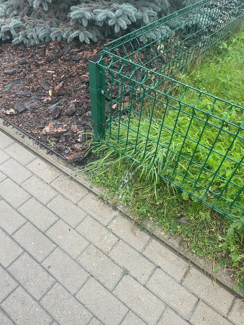 Sklep w Jabłonnej - Legionowo