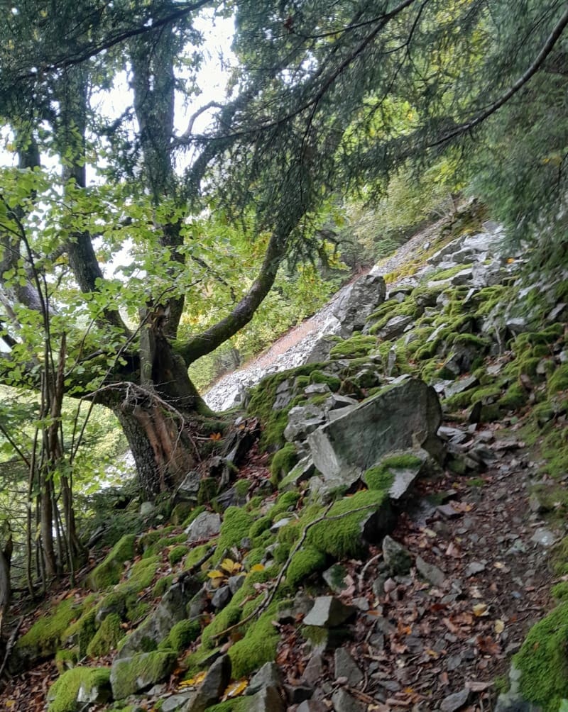 Linthal, lac de la lauch, linthal - Lautenbachzell
