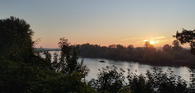 Le long de la Loire à La Chapelle-Saint-Mesmin - La Chapelle-Saint-Mesmin