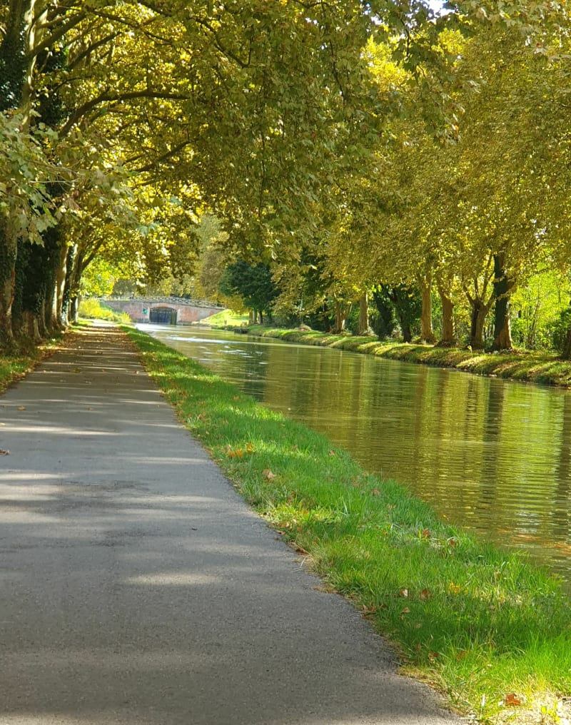 Promenade champêtre à Montech - Montech