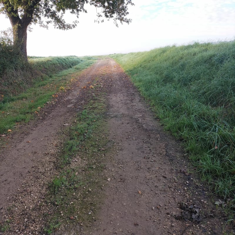 Boucle autour de Torcy-et-Pouligny - Torcy-et-Pouligny