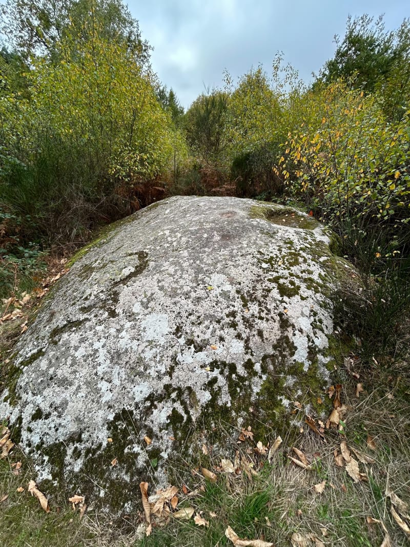De la font du loup à la Pierre du Roy - Saint-Sulpice-Laurière