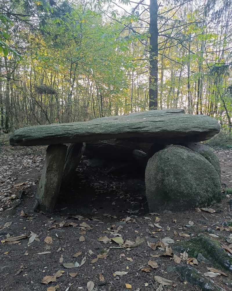 Boucle autours de Rochefort en terre - Rochefort-en-Terre
