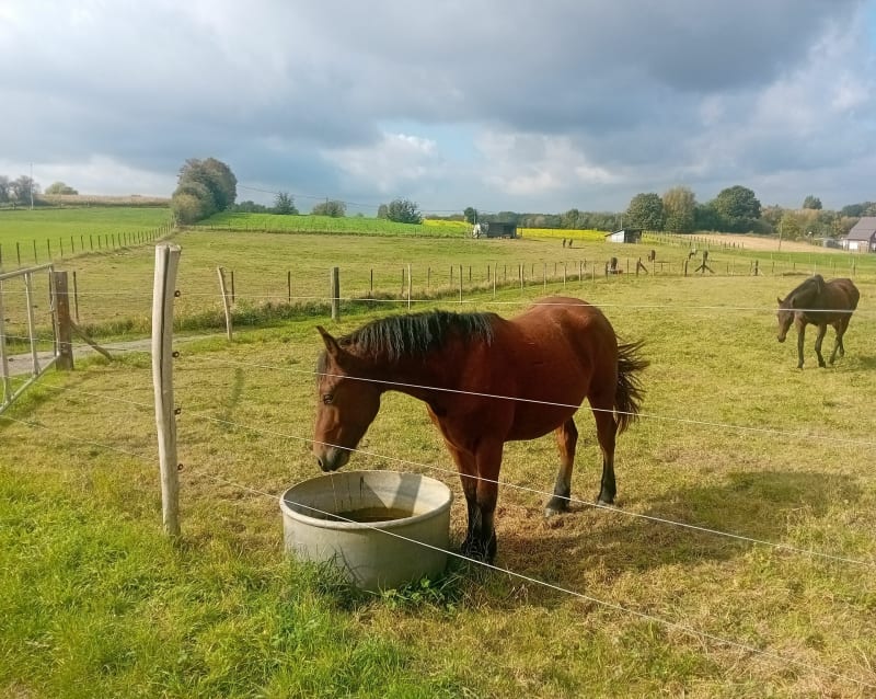 Rond Kerksken en Haaltert - Erpe-Mere