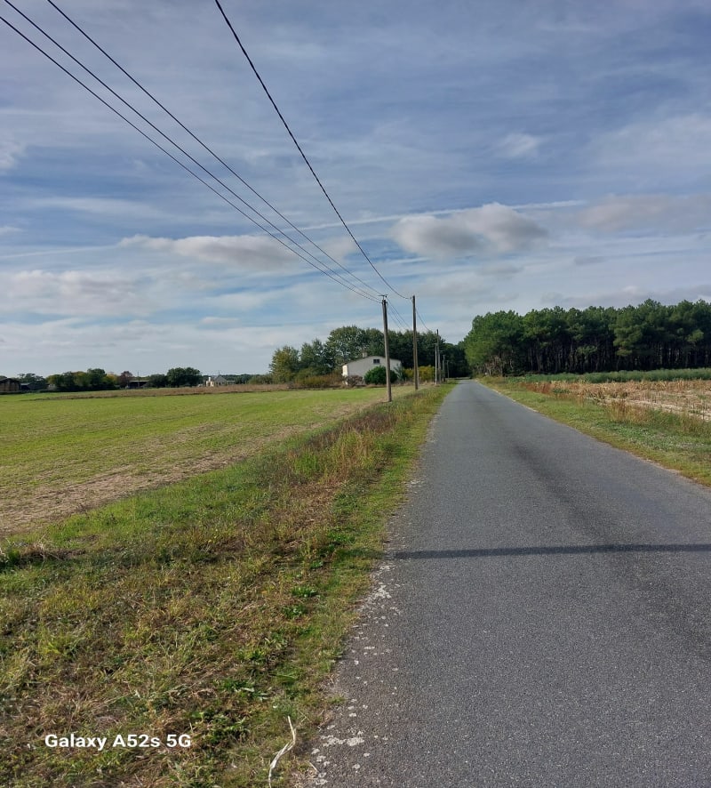 Promenade de Longué à Vivy - Longué-Jumelles