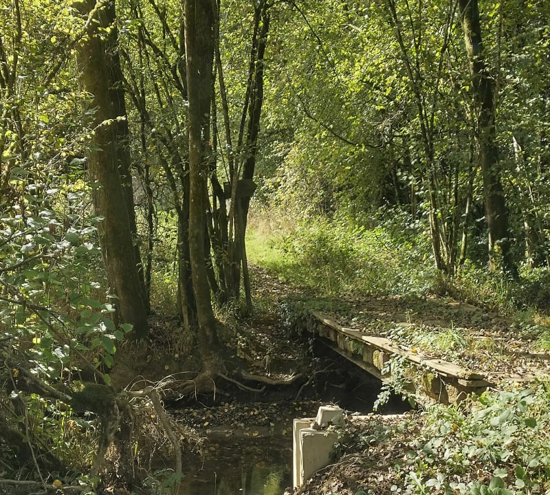 Flânerie dans la Verte Vallée et Callac - Callac