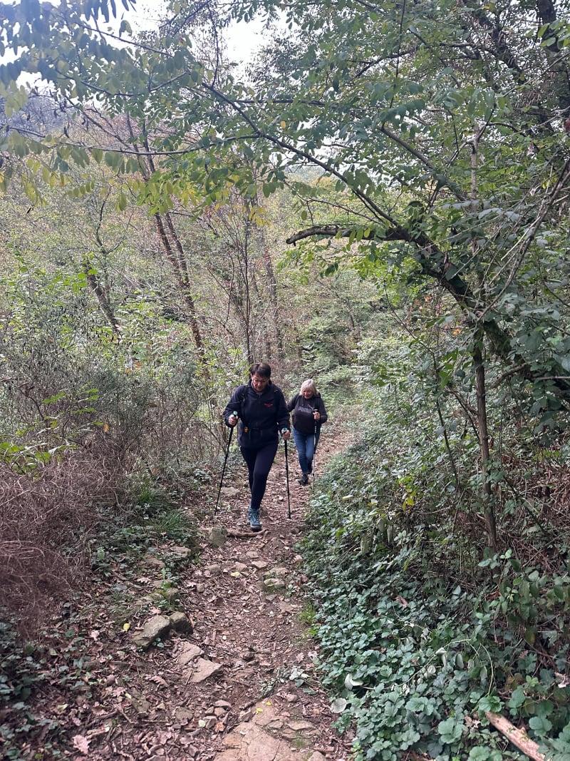 Sentier de Gorneton et les Combes - Chasse-sur-Rhône
