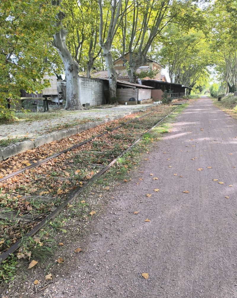 Circuit par sentier de garrigue, Bois de Castille et voie verte - Saint-Siffret
