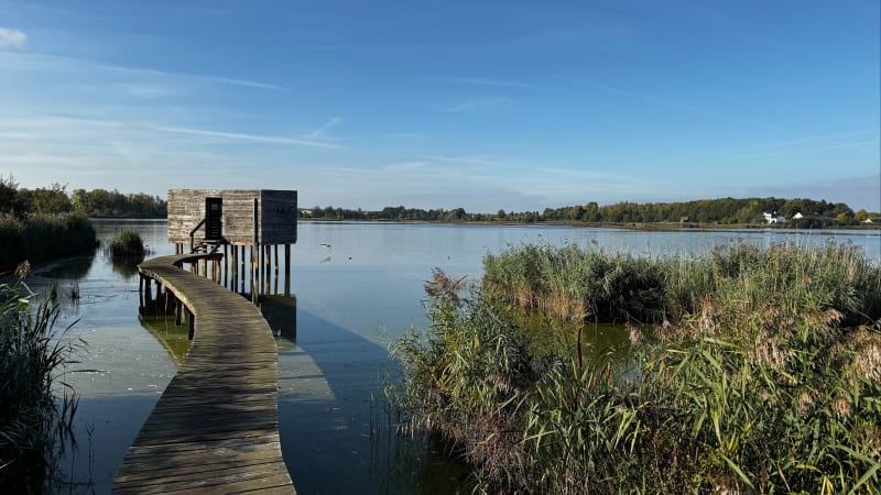 Rond Het Vinne (Zoutleeuw) - Zoutleeuw