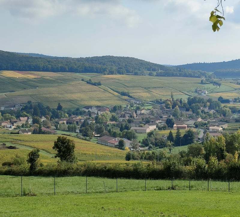 Rando Verzé et Berzé-le-Châtel - Verzé