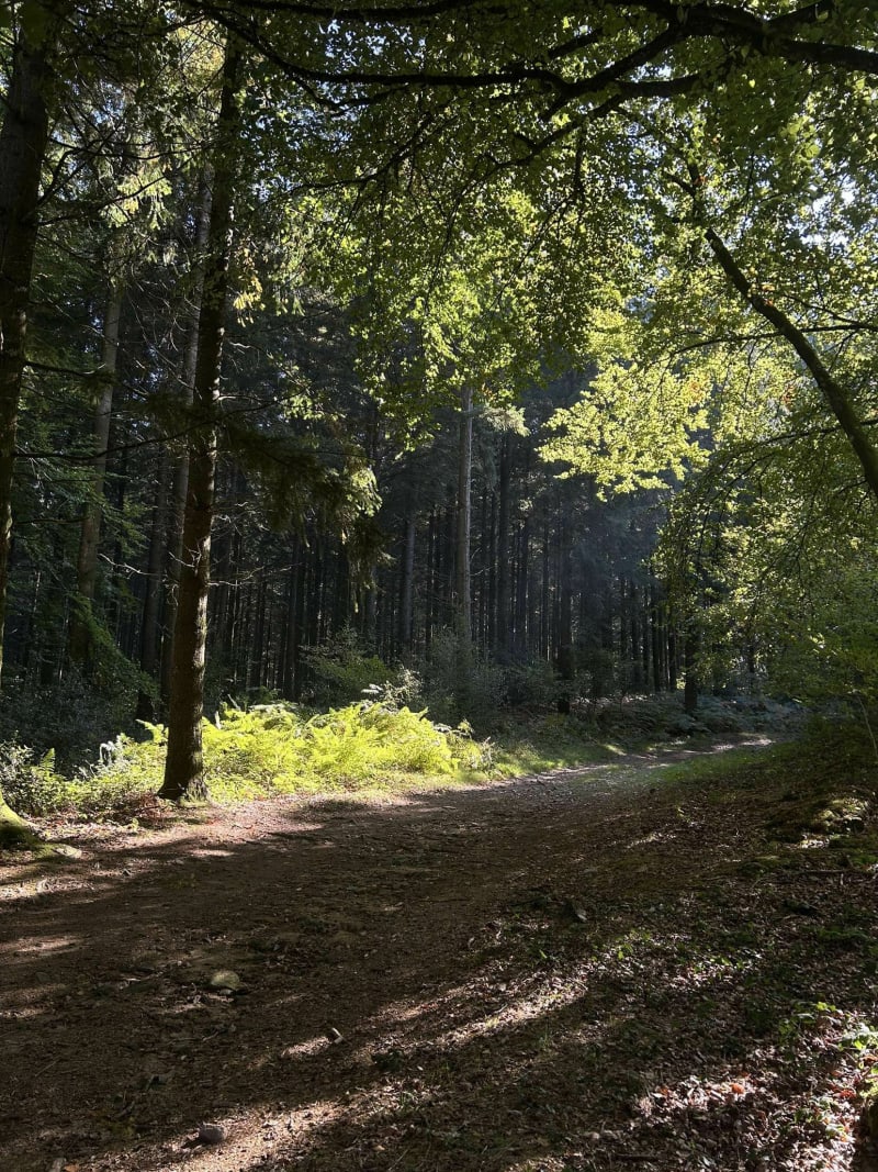 Pierre la Grosle et Forêt de Chabrières - Guéret