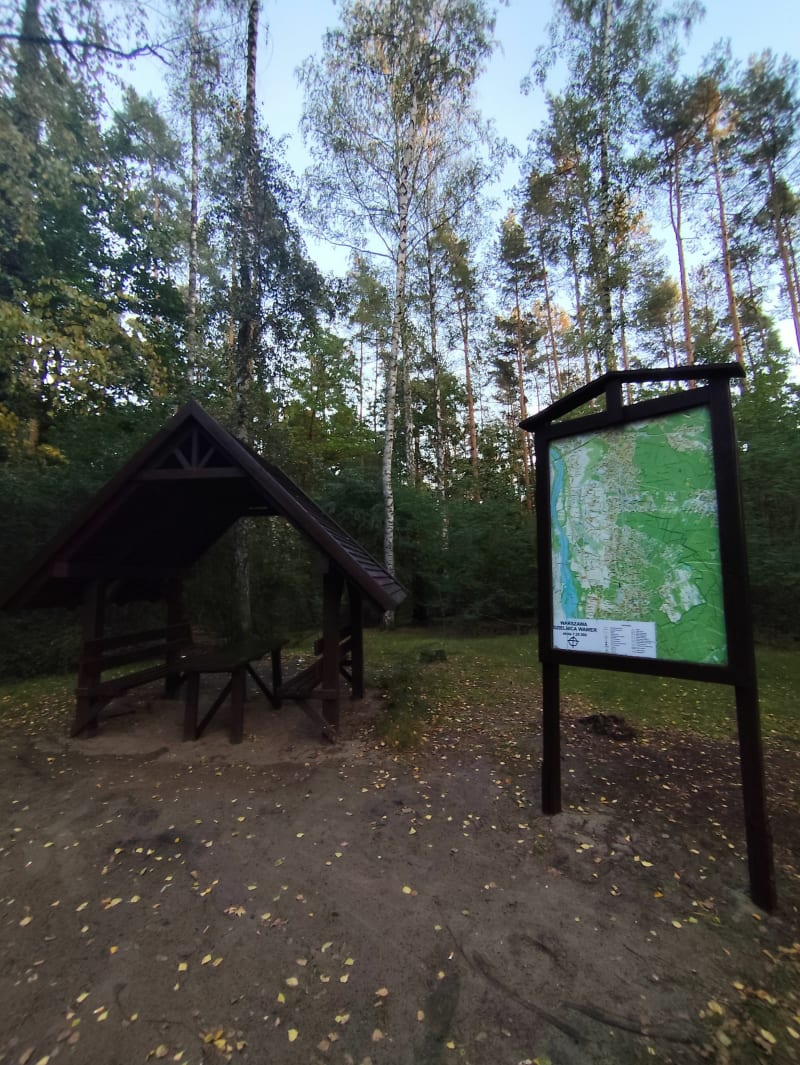 Krótki spacer w Mazowieckim Parku Krajobrazowym, Międzylesie - Warszawa