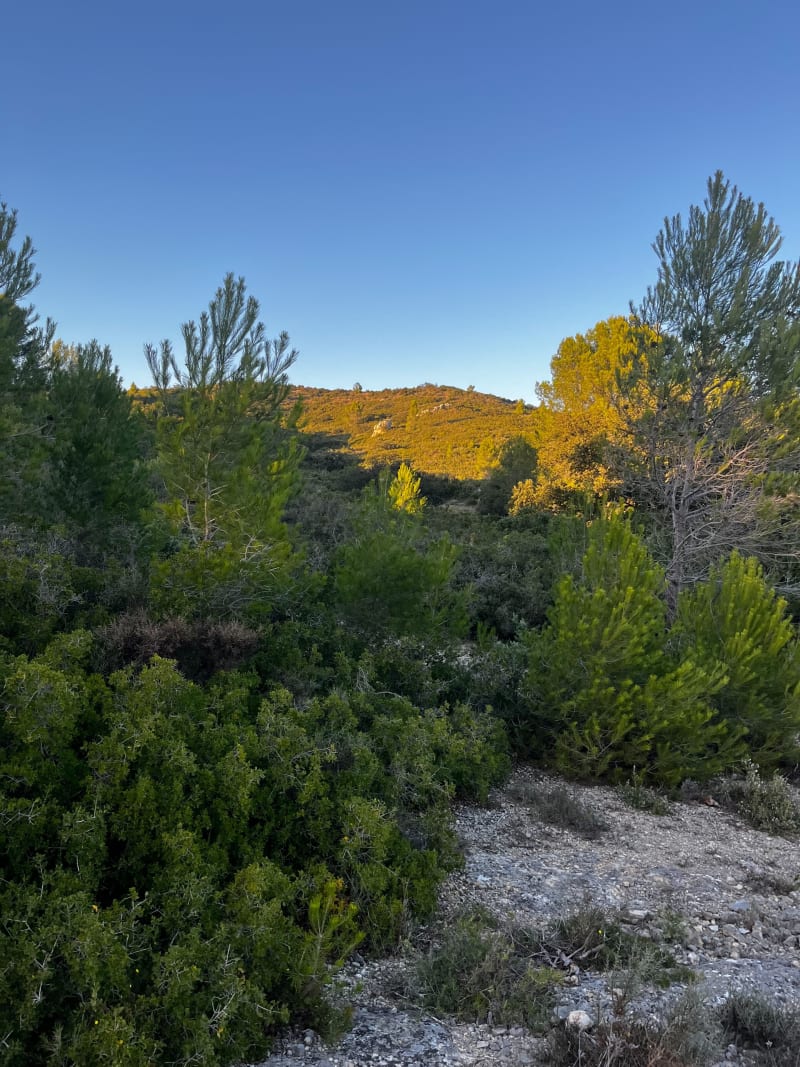 Balade au départ de la source de Dève - Aramon