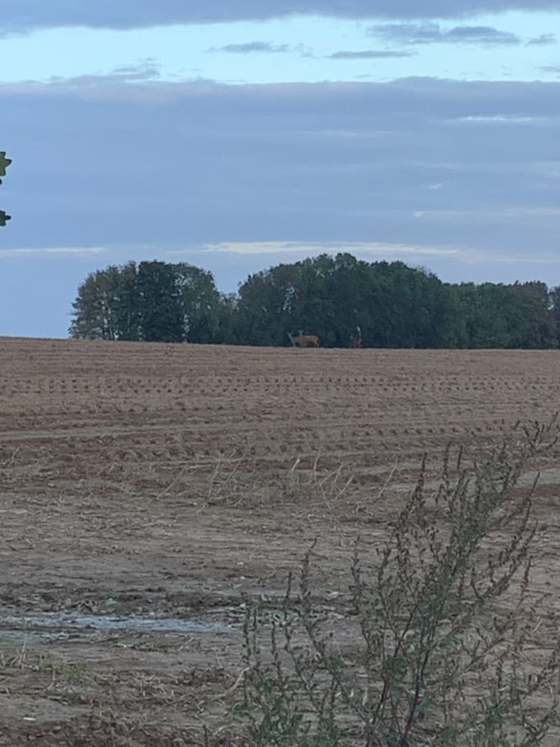 Balade beaumesienne - Beaumetz-lès-Loges