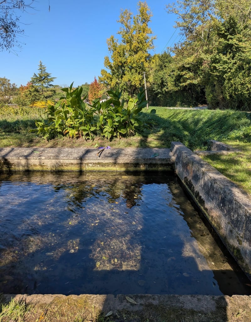 Les marais de Saint-Sulpice-et-Cameyrac - Saint-Sulpice-et-Cameyrac