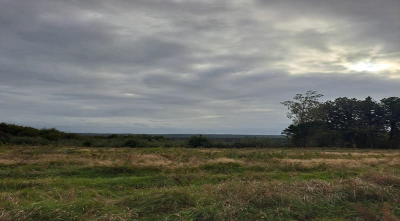 Skotawskie góry- Dębnica Kaszubska - Dębnica Kaszubska