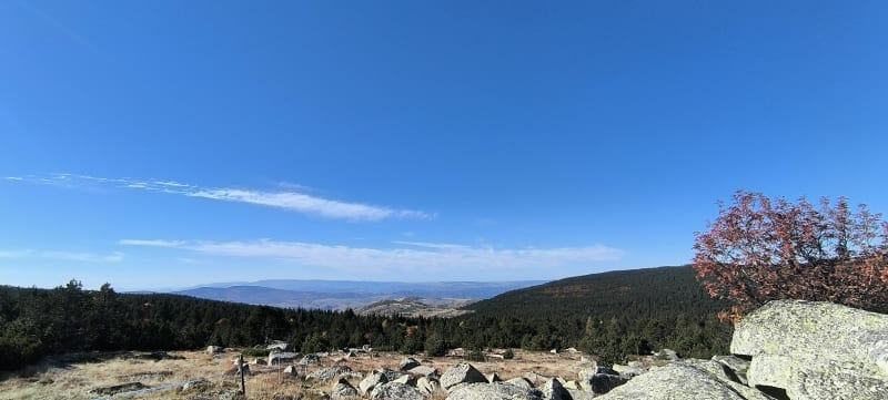 Le col du Finiels, jusqu'au pic de Cassini - Pont-de-Montvert-Sud-Mont-Lozère