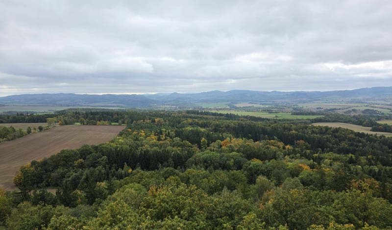 Wieża widokowa na górze Zawodna - Gozdno