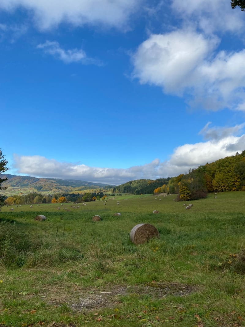 Olszyny - Horni Adrspach - Olszyny - Olszyny