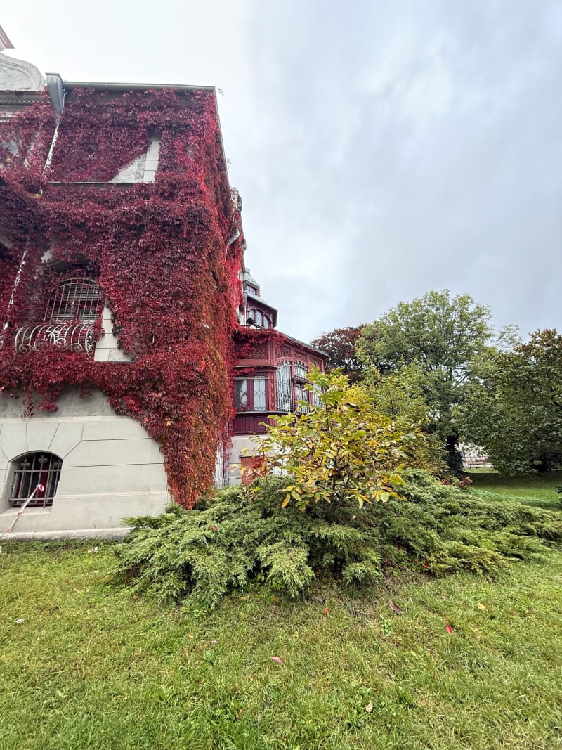 Politechniki - Górniak - Łódź
