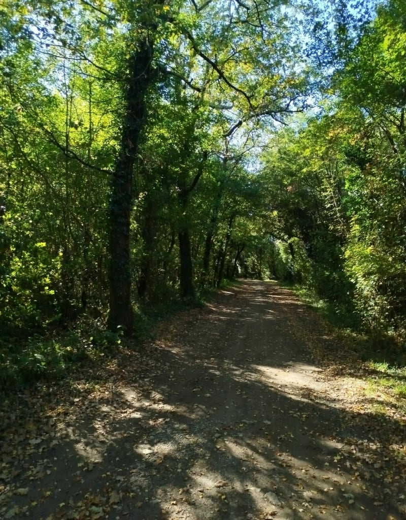 Bois de la garde et Thairé - Le Thou