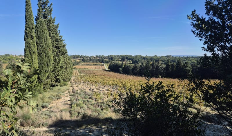 Colline de Morières - Châteauneuf-de-Gadagne