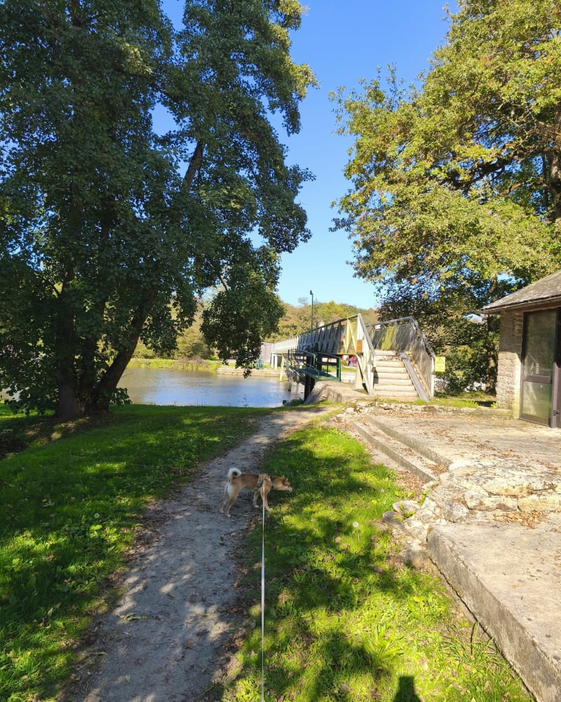 Balade à la base du Rouvray - Guégon