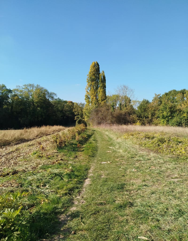 Marche Gouvernes - château de Guermantes - Gouvernes
