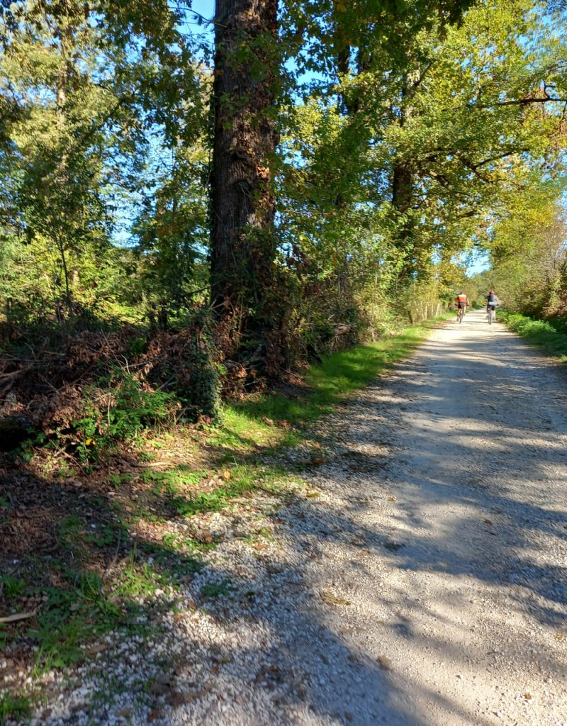 Chemin sympa autour de Malemort - Malemort