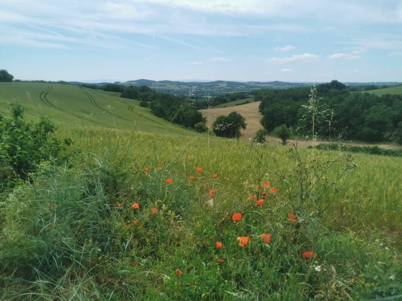 Chemin des Terres Blanches Laboutarié - Laboutarie