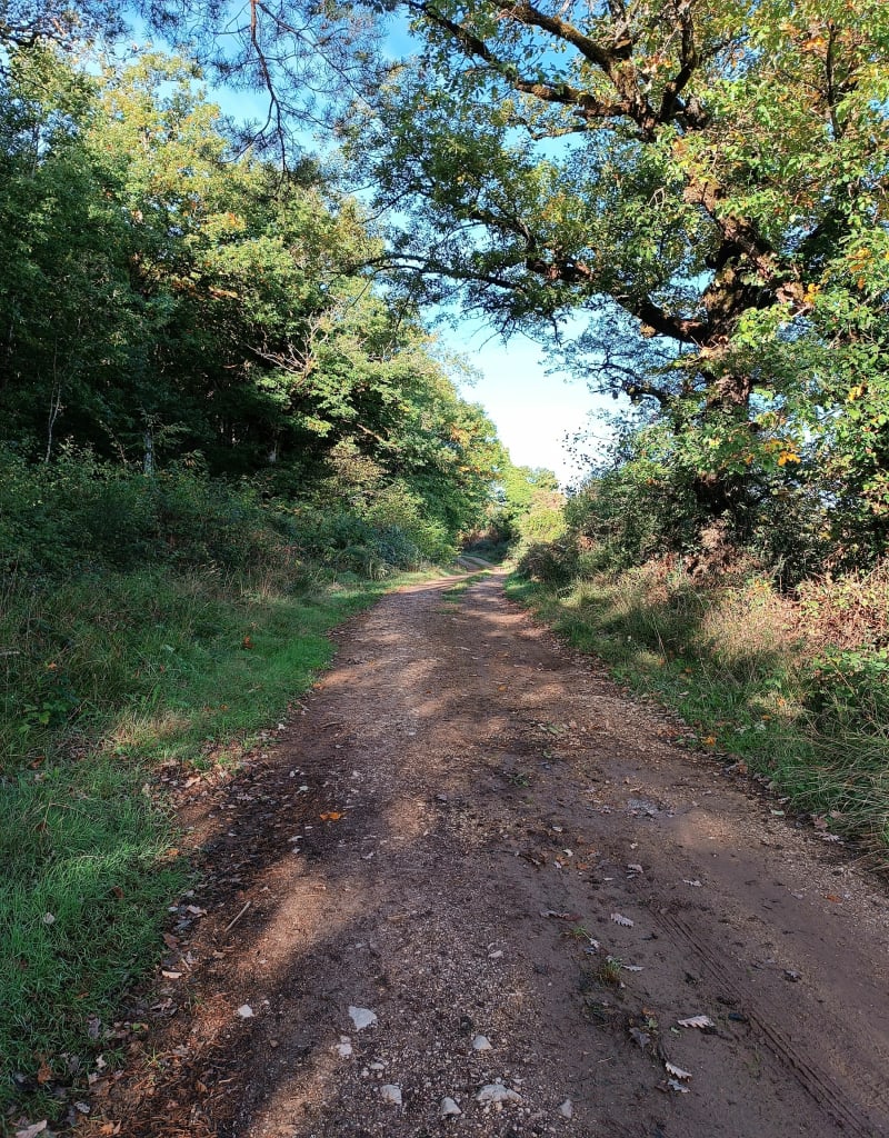 Petit Tour de Trebosc en passant par Galties et Montrozier - Montrozier