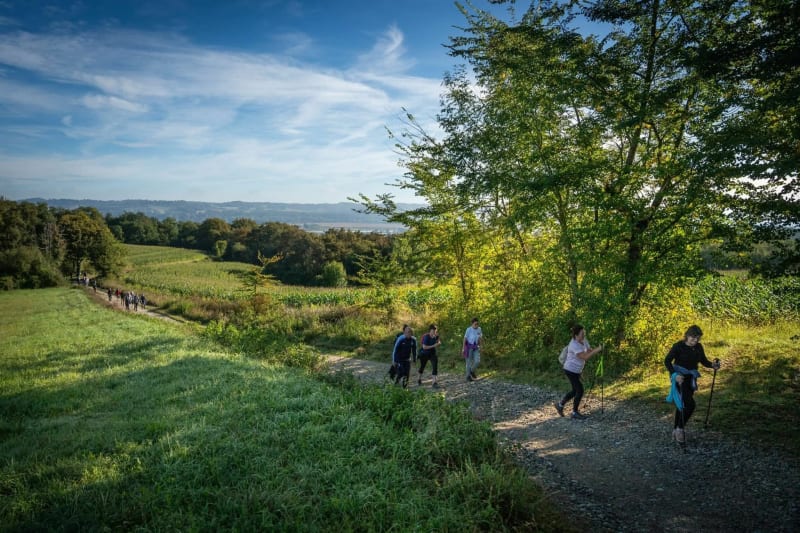 Rando gave et coteaux à Lucq-de-Béarn - Lucq-de-Béarn